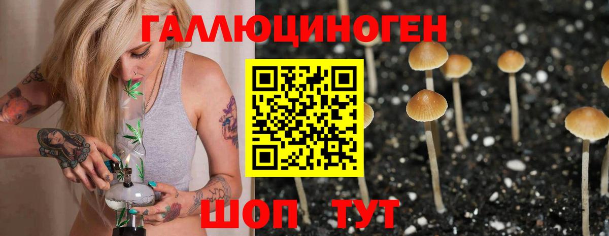 Псилоцибиновые грибы MAGIC MUSHROOMS  Вход с VPN  Новоуральск 